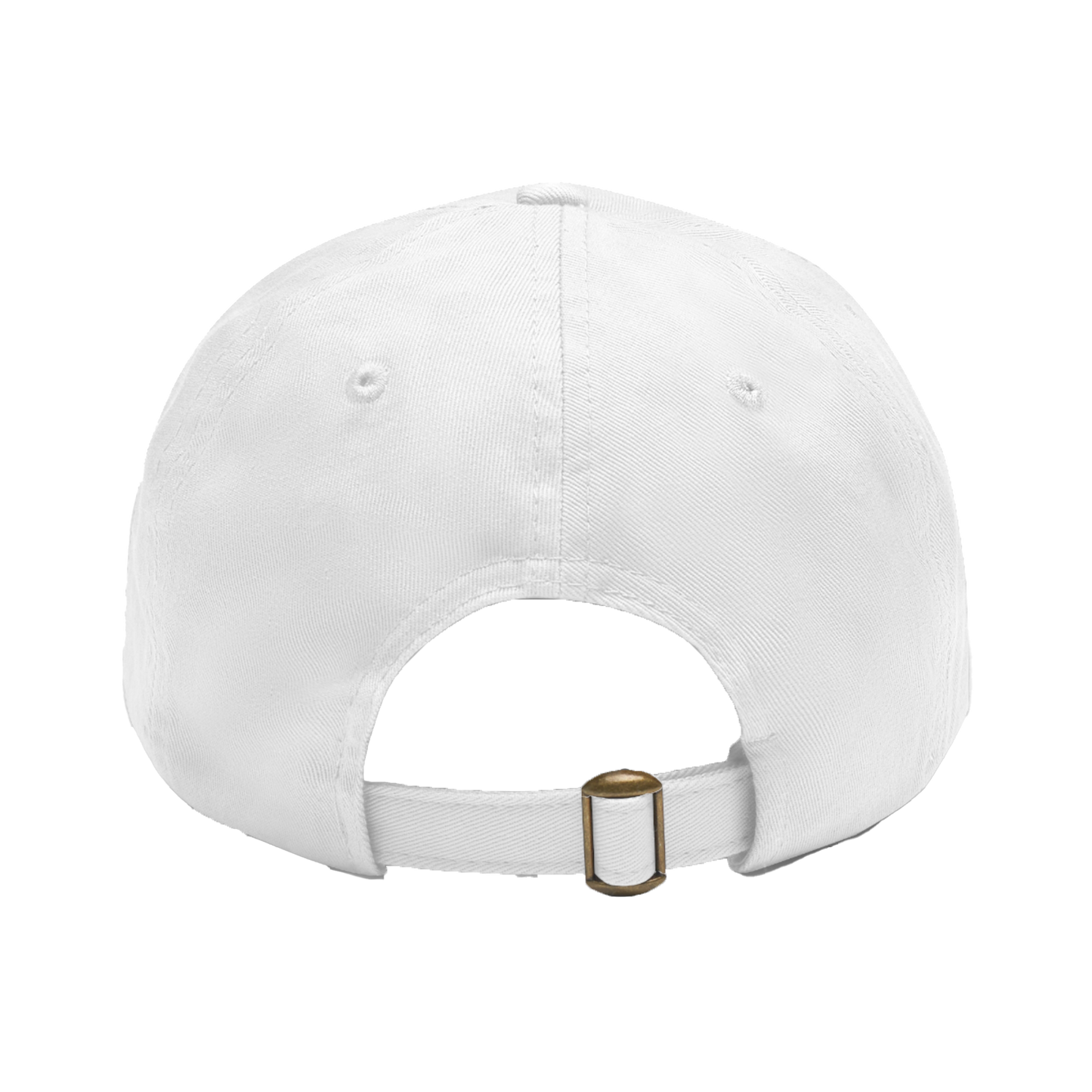 Doctrination Dad Hat